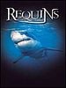 poster de Le Monde des requins - Requins 3D