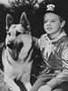 poster de Rintintin