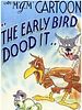 poster de Oiseau du matin, chagrin