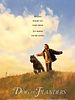 poster de Nello et le chien des Flandres