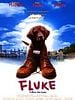 poster de Fluke