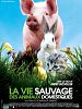 poster de La Vie sauvage des animaux domestiques