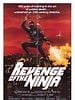 poster de Ultime Violence - Ninja 2
