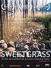 poster de Sweetgrass