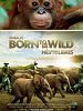 poster de Born to be Wild - Nés pour être libres