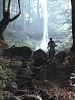 poster de Les Secrets de la forêt noire (TV)