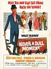 poster de Never a dull moment