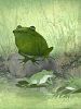 poster de Mille-pattes et crapaud