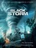 poster de Black Storm
