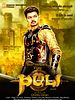 poster de Puli