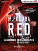 poster de M. Pokora RED Tour