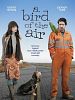 poster de A Bird of the Air