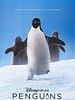 poster de Penguins