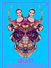 poster de Braid