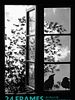 poster de 24 Frames