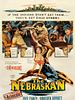 poster de The Nebraskan