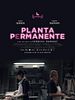 poster de Planta permanente