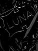 poster de Luna