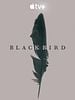 poster de Black Bird