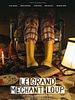 poster de Le grand méchant loup