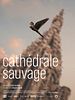 poster de Cathédrale Sauvage