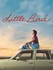 poster de Little Bird