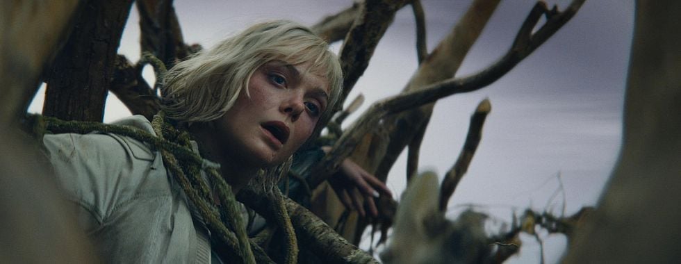 Photo du film Predator: Badlands