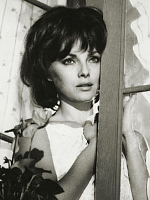 image de Lisi Virna
