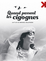 poster de Quand passent les cigognes