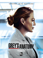 poster de Grey's Anatomy
