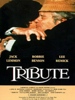 poster de Un fils pour l'été