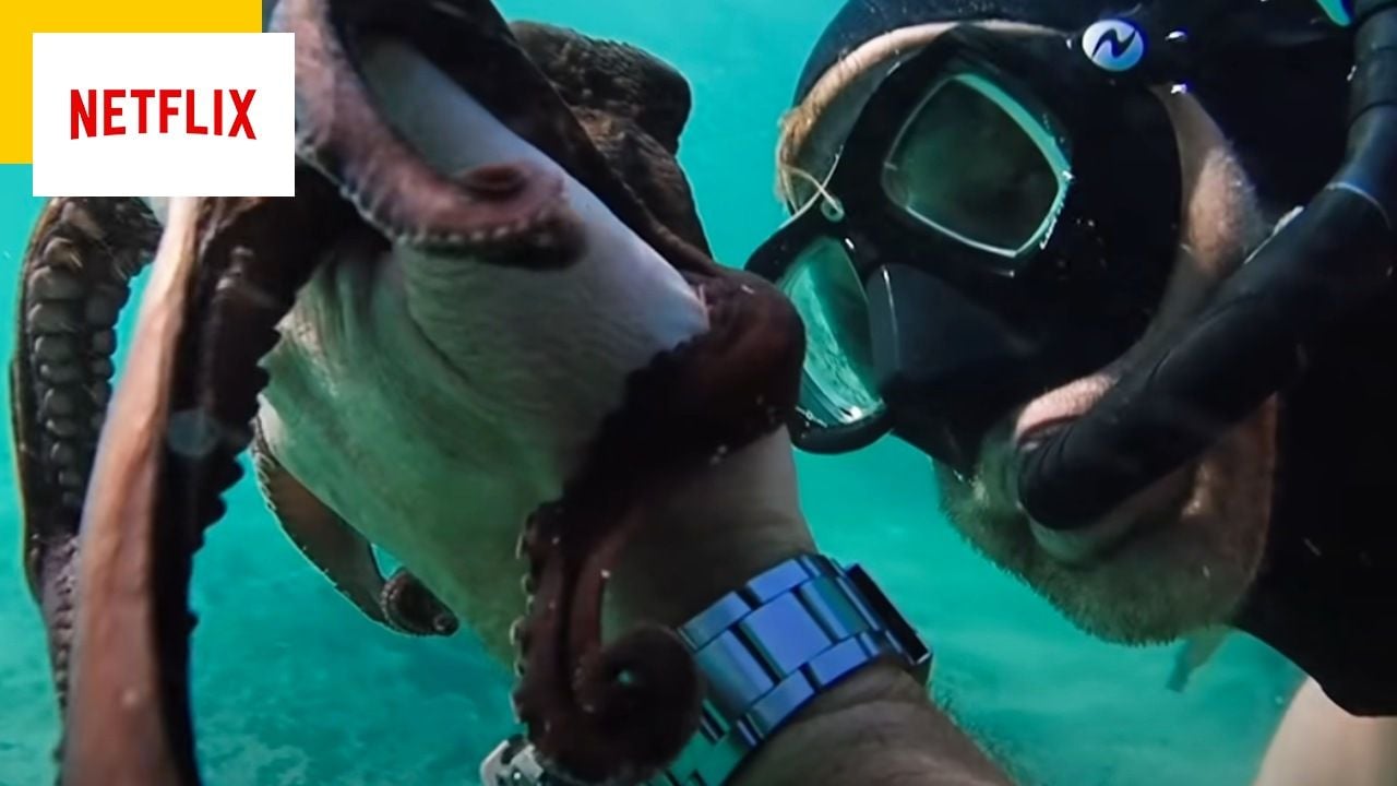 Tonight on Netflix: Crying… In Front of an Octopus?  Watch this movie and we will talk about it