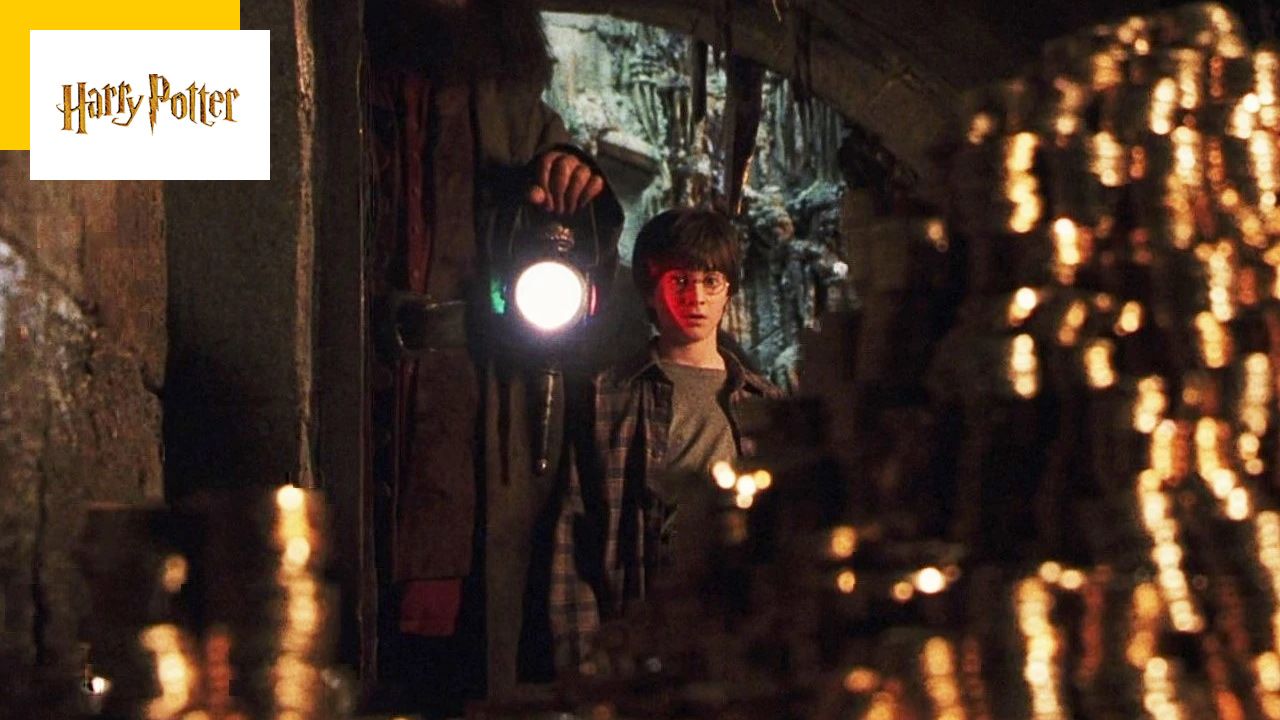 Harry Potter: 10,000 euros… Why should a French city pay this heavy fine?