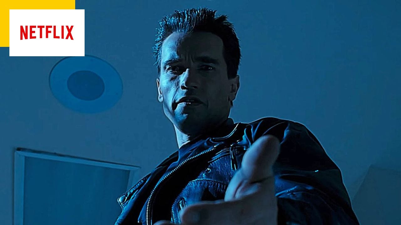 “I took him for a liar”: Before the Terminator, Linda Hamilton did not want to work with Arnold Schwarzenegger!
