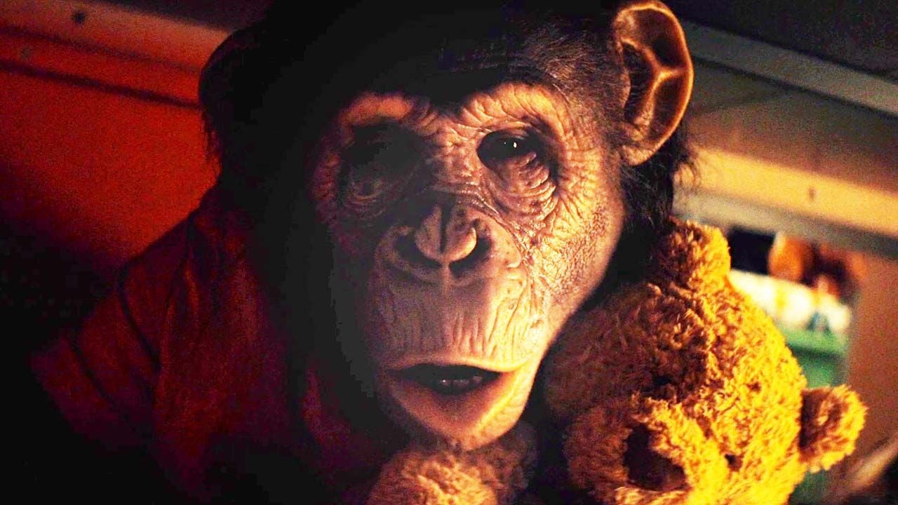 Worse than sharks and spiders… here are the first images from Primate, the movie that transforms a chimpanzee into a killing machine