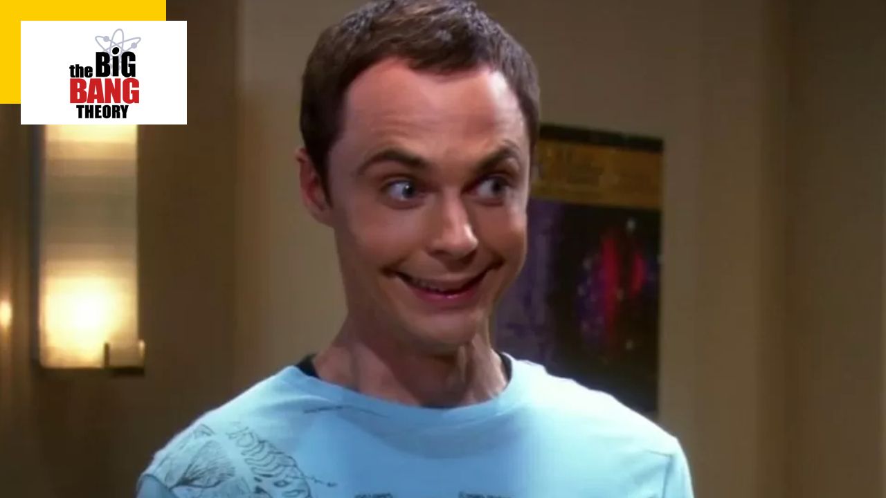 The Big Bang Theory: His departure led to the end of the series, with his partners blaming him