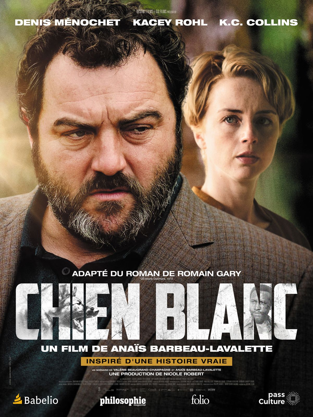 Chien blanc streaming vf gratuit