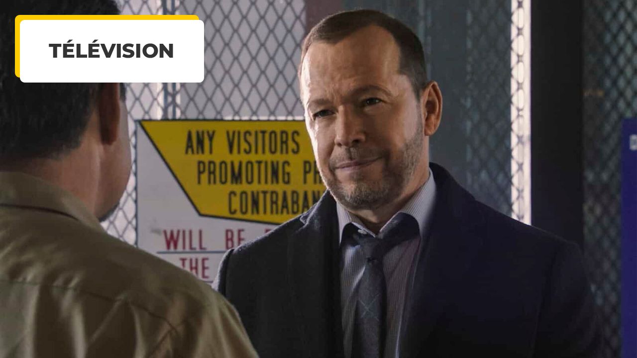 Blue Bloods: Excellent news for fans, one of the characters will have their own series!