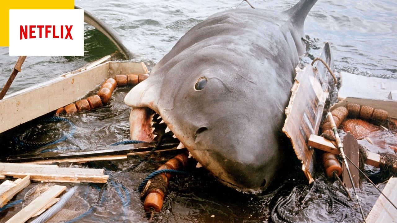 Netflix: Sharks attack documentary film crew, “Like in Jaws”!
