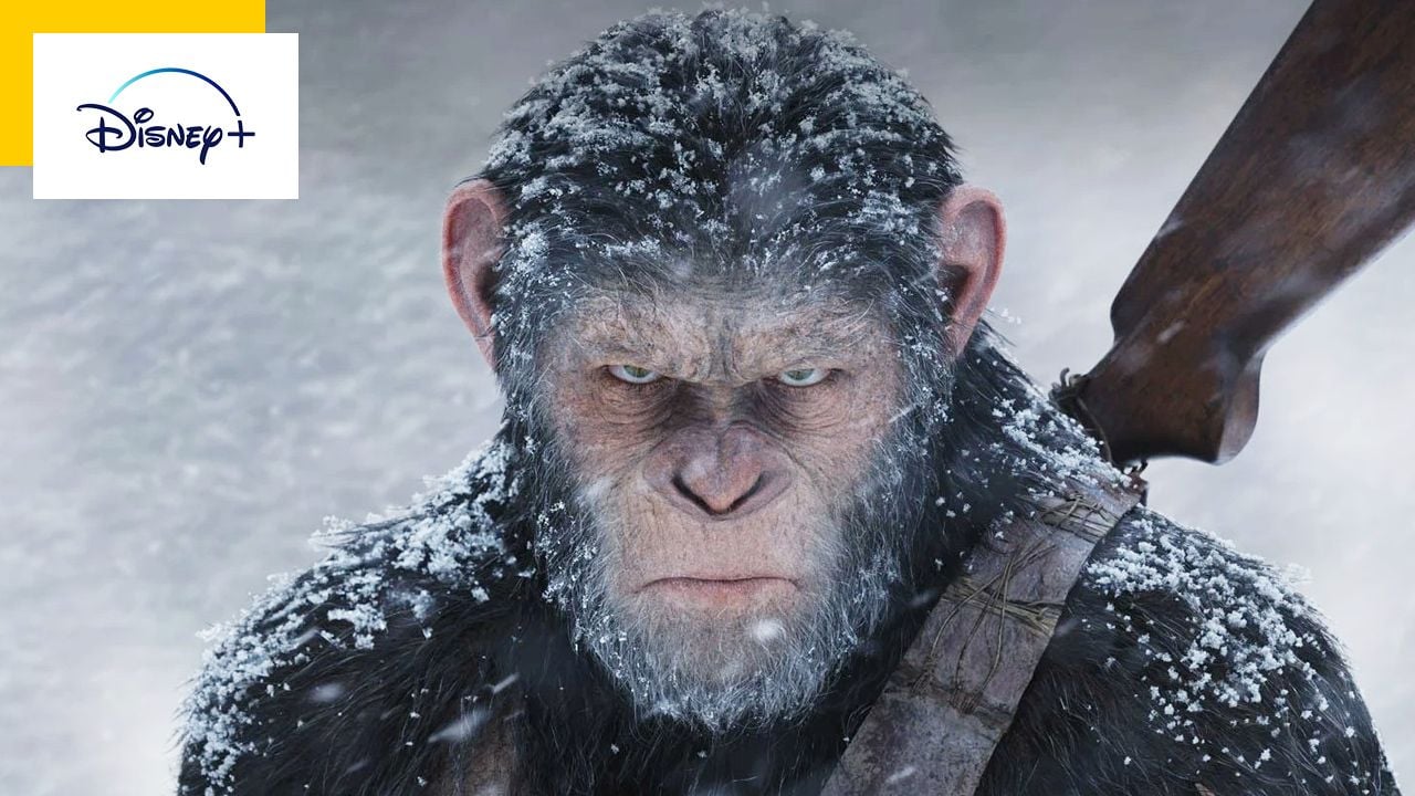 Planet of the Apes: After the movie, a new series is developing?