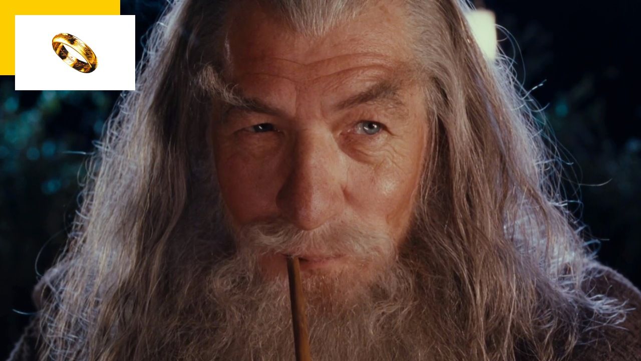 Le Seigneur des Anneaux déguisé en Gandalf en pleine rue, ce fan a eu la surprise de sa vie