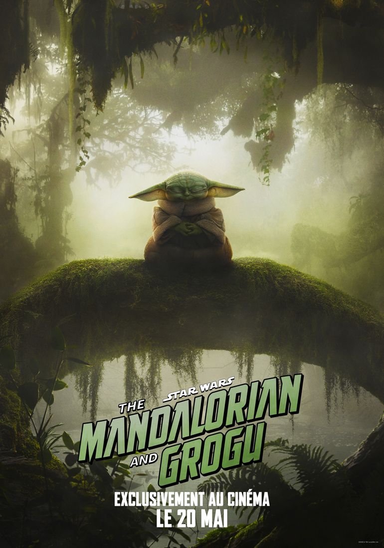 Affiche Du Film Star Wars The Mandalorian And Grogu Photo 12 Sur 48 