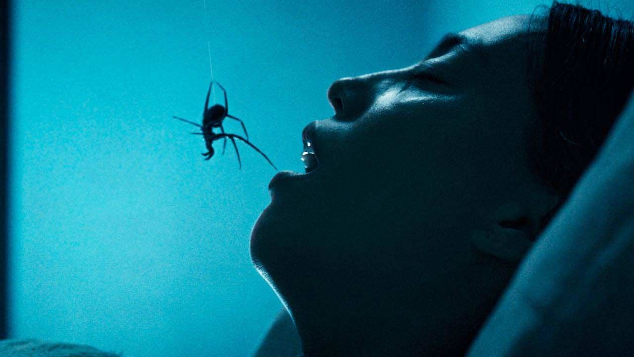 Premières images Crawlers : 3 ans après Vermines, ce film va-t-il devenir le nouveau phénomène horrifique de l'année ? La bande-annonce est prometteuse !