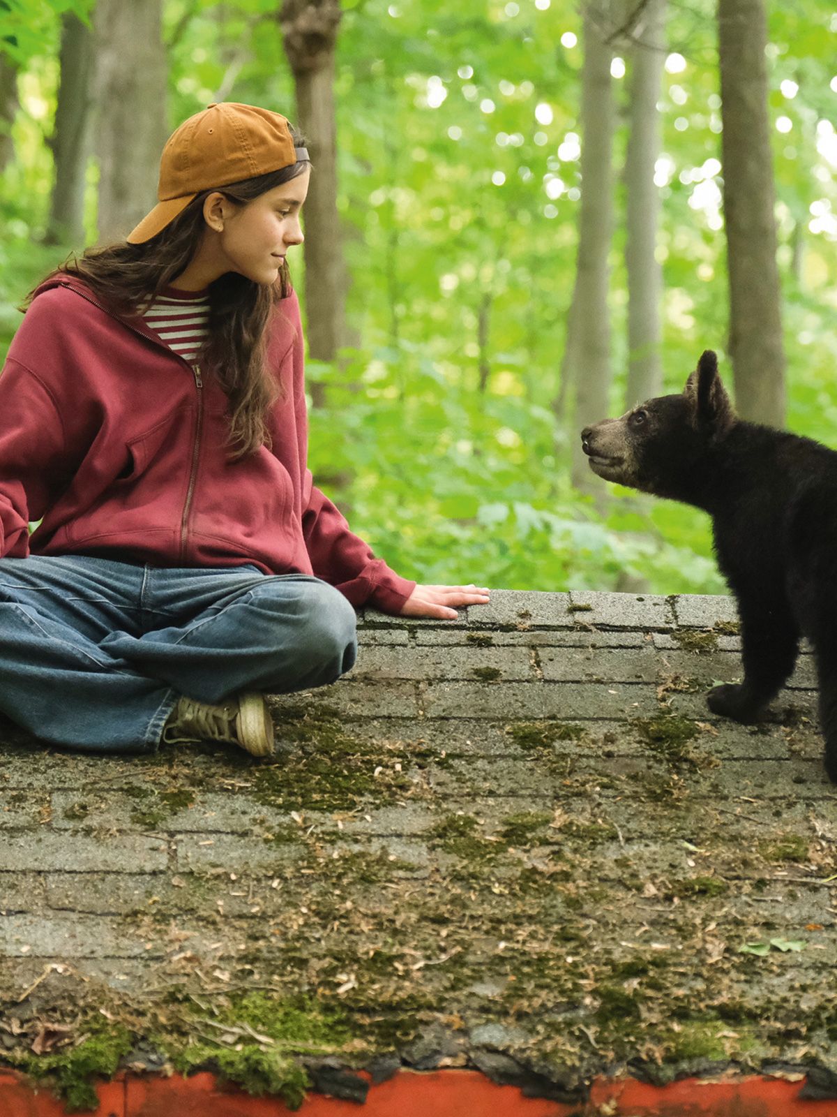 Melody pour un ours streaming fr