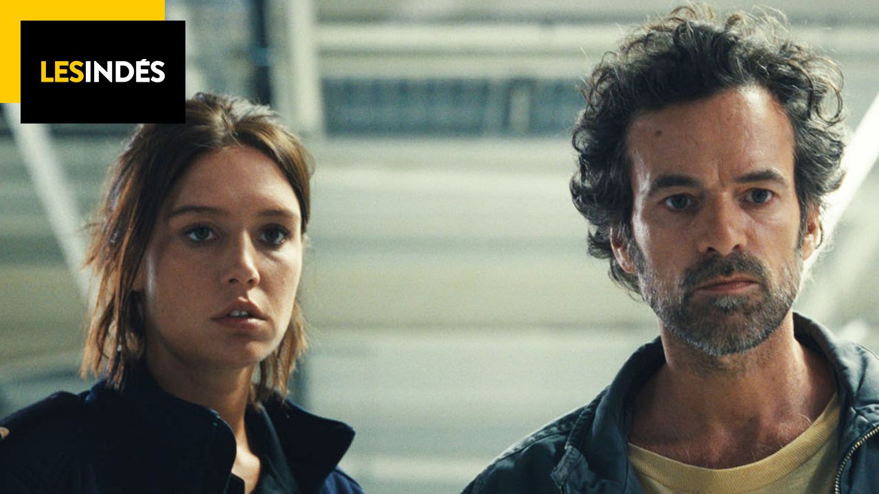Cinema releases on October 4: Animal Kingdom, Bernadette, Between the Lines…