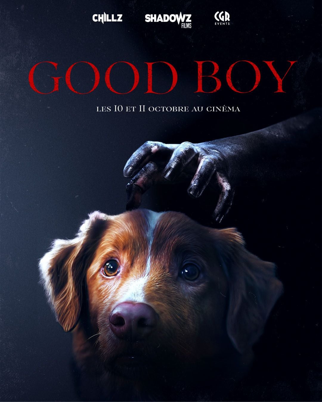 Good Boy streaming gratuit