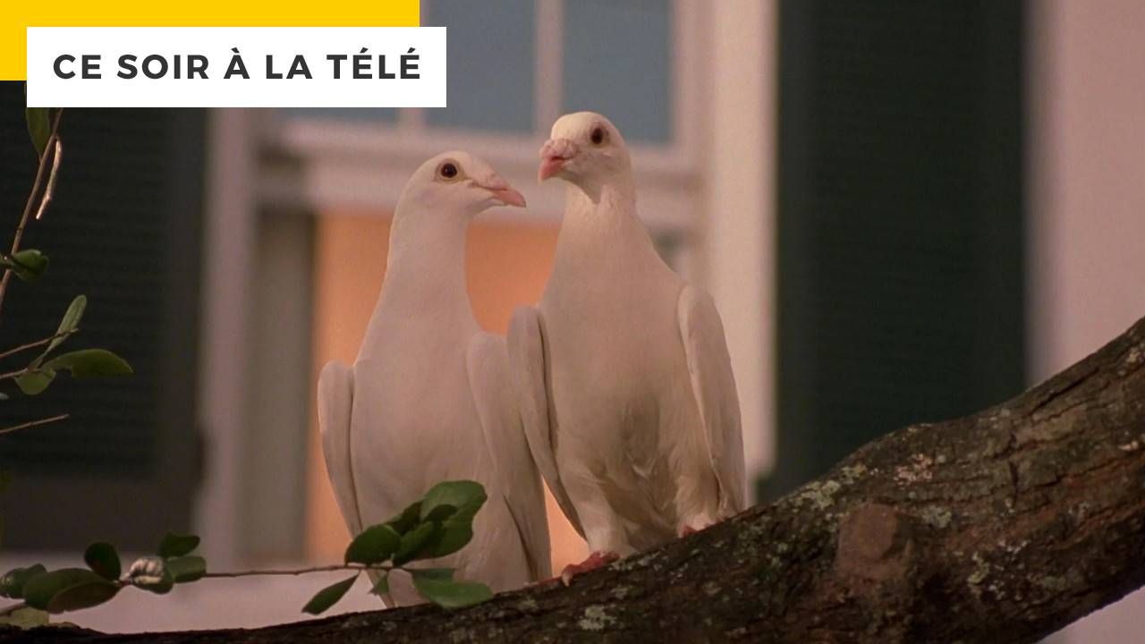 Tonight on TV: One of the only comedies that’s still rubbish 25 years after its release