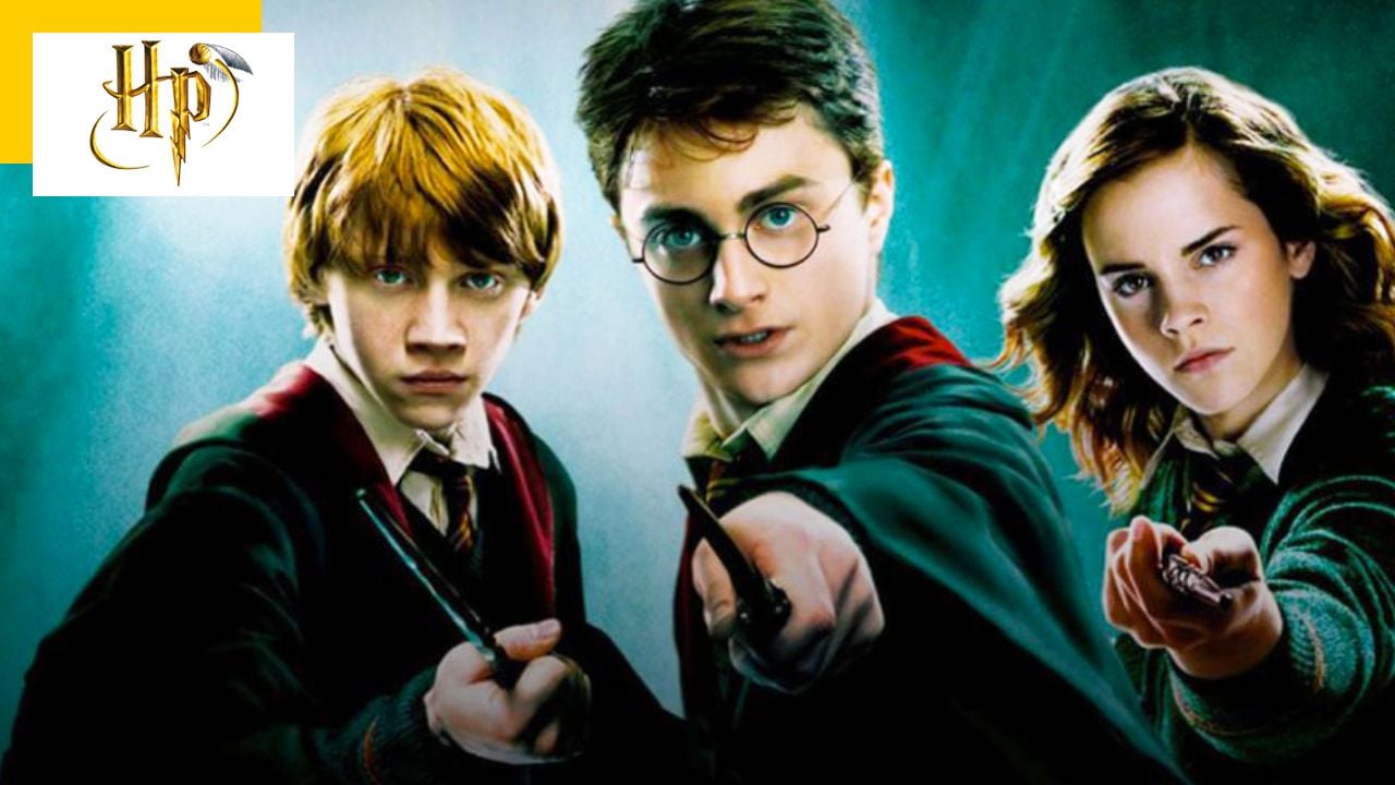 Harry Potter: The fury of fans on social networks after the announcement of the series