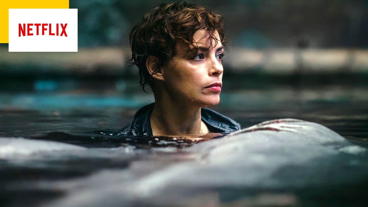 Netflix: Sharks in Paris by a horror specialist!