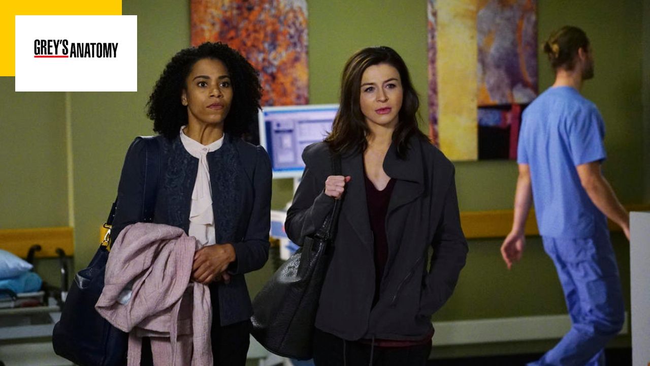 Grey’s Anatomy: After Meredith, another main character will say goodbye after 9 seasons
